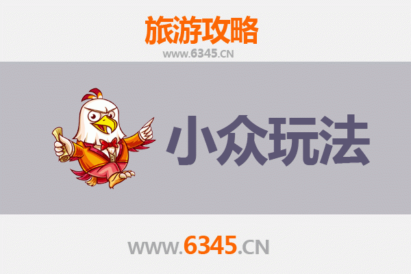 琼海中原镇小众玩法探秘：南洋风情与田园野趣的深度体验